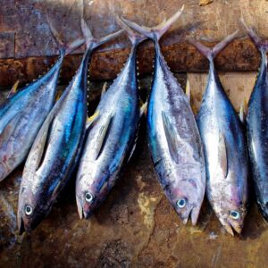 Tunateca