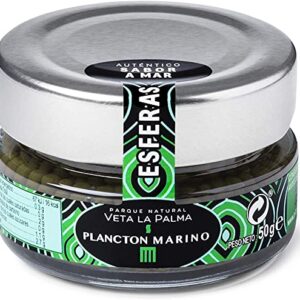 Esferas de plancton marino